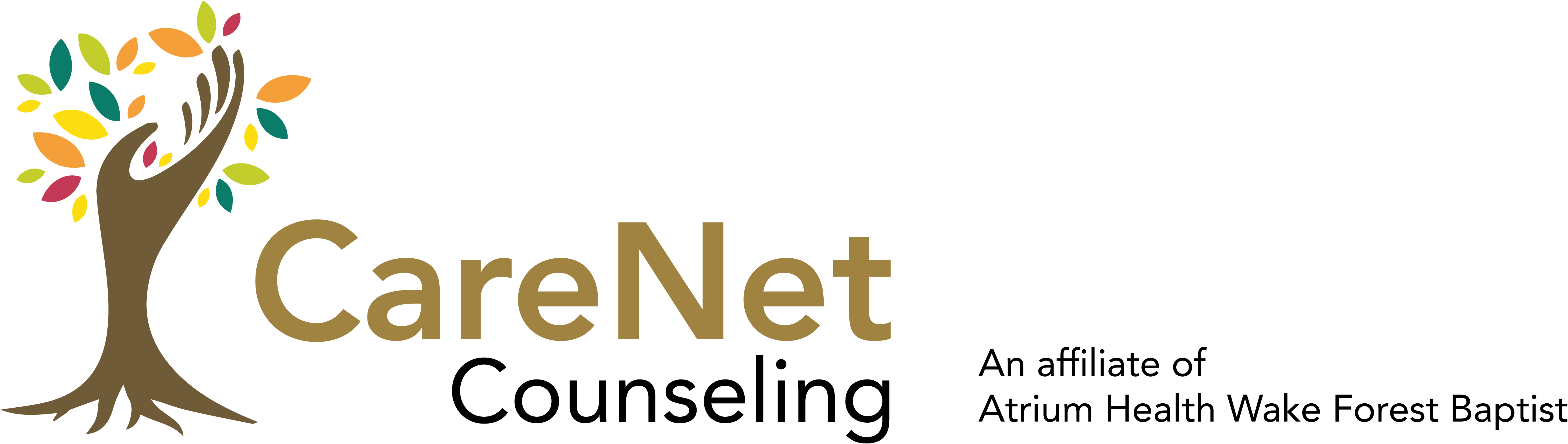 CareNet-logo copy